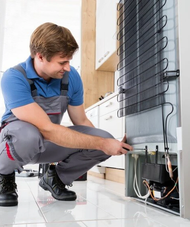 Especialista fazendo manutencao em geladeira Brastemp e Consul